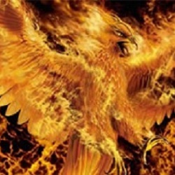 Fênix a arte do renascimento